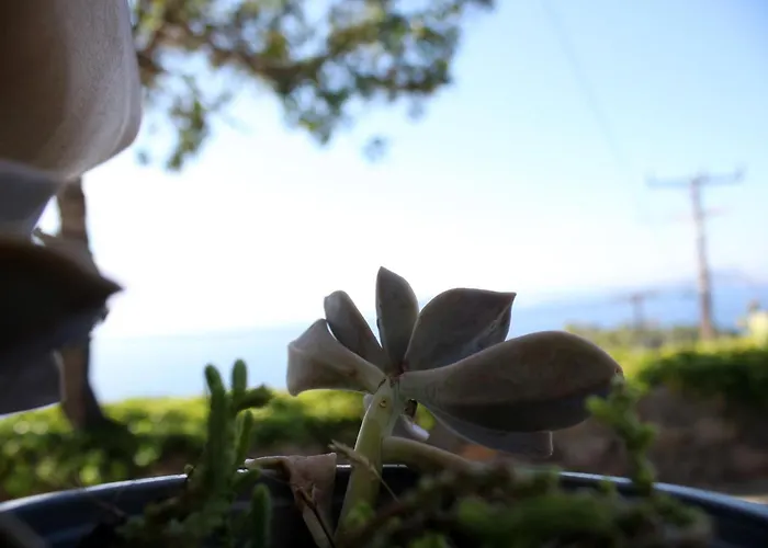 Volcano View Nisyros *