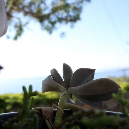 Volcano View Nisyros *